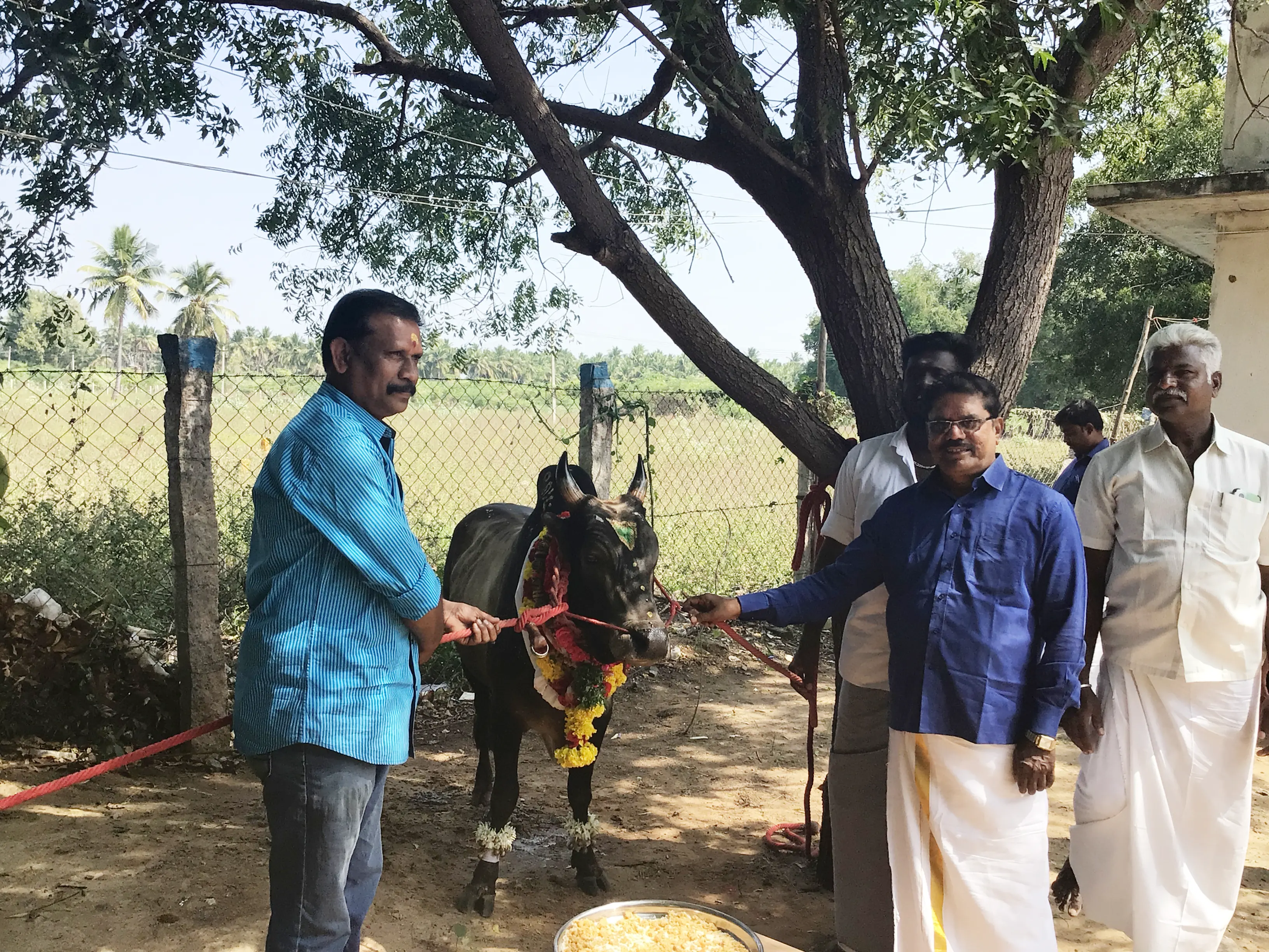 Vaigai Pongal 2023-11
